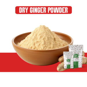 DRY GINGER POWDER