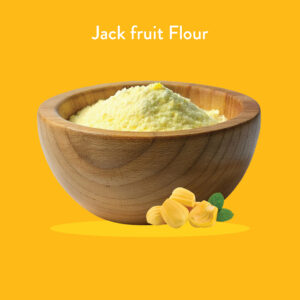 JACK FRUIT FLOUR