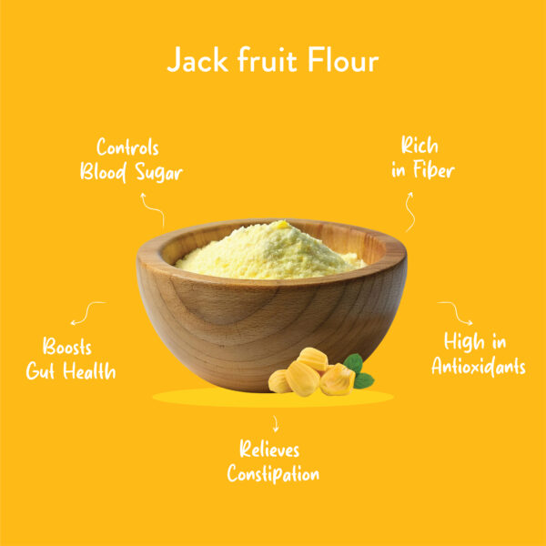JACK FRUIT FLOUR - Image 2